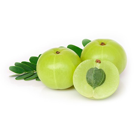 Fresh amla superfruit